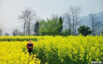 国产春色在线,探寻中国电影中的青春与色彩